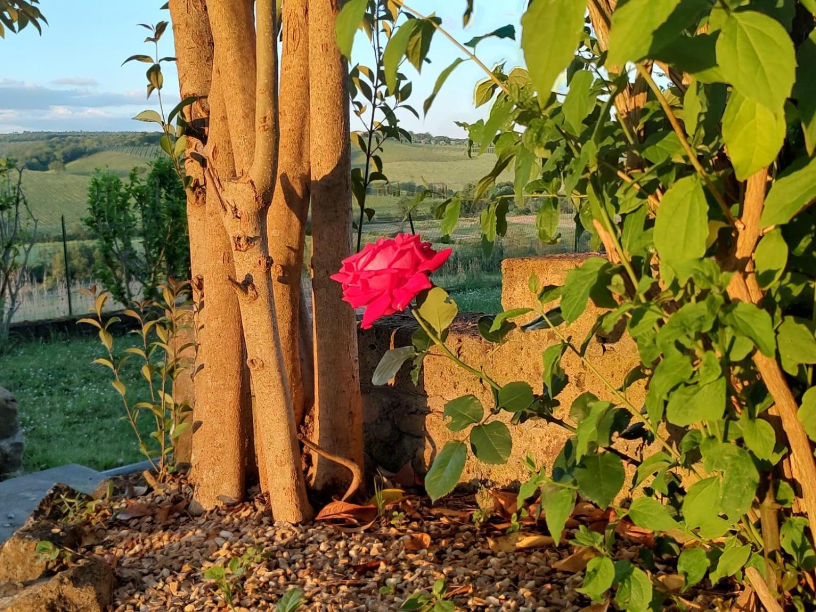 Il Giardino Del Chianti Apartment Siena Ngoại thất bức ảnh