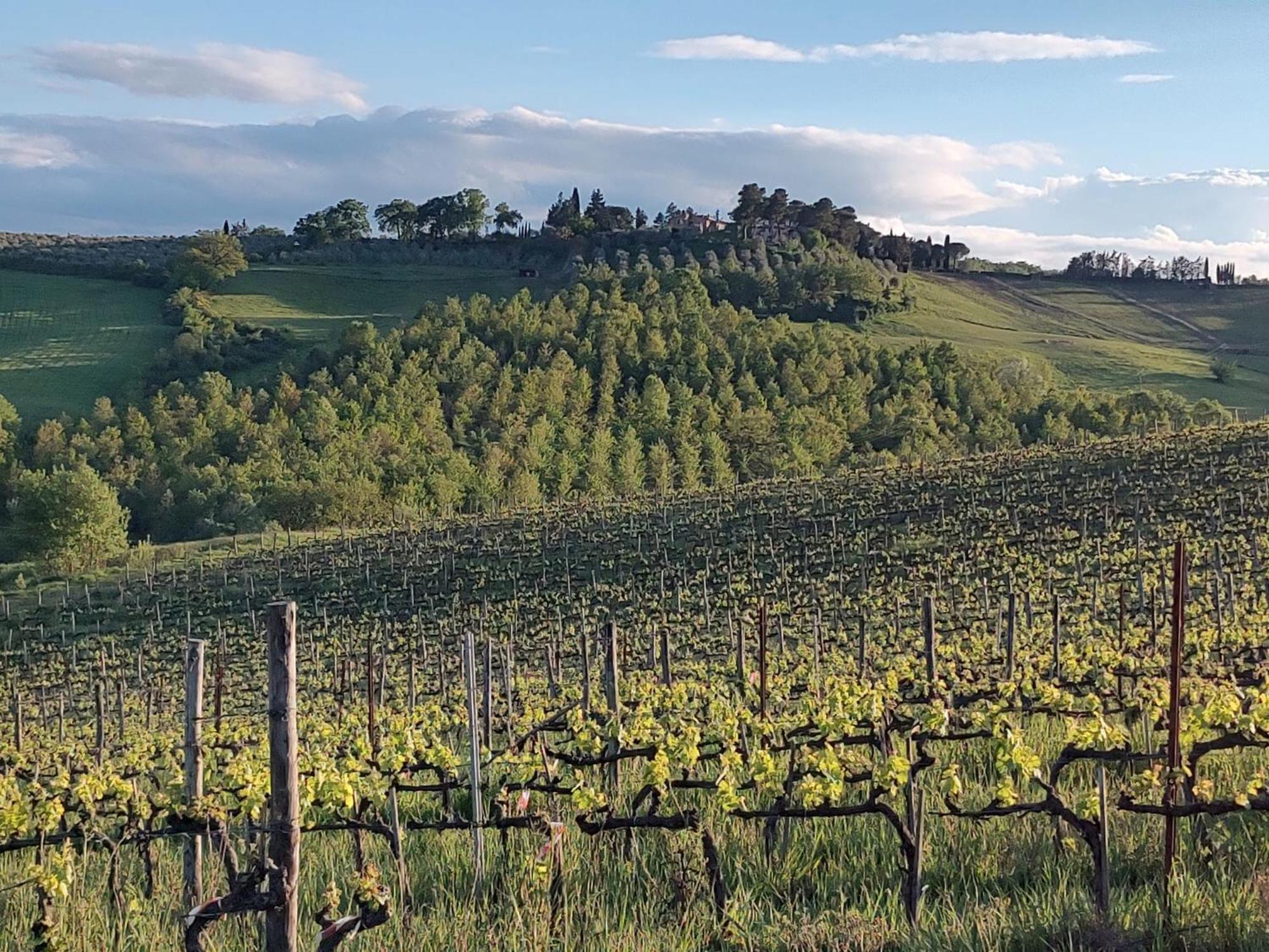 Il Giardino Del Chianti Apartment Siena Ngoại thất bức ảnh